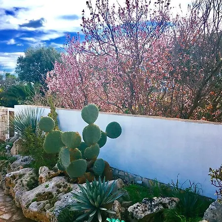 Carone Suite-charme&pool